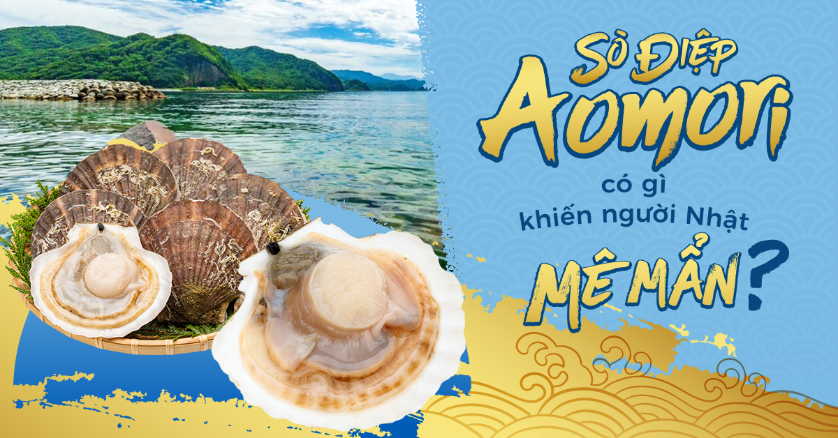 Sò điệp Aomori – Tinh hoa hải sản Nhật Bản